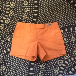 Loft shorts